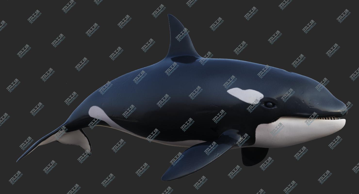 images/goods_img/2021040234/3D Animated Killer Whale model/3.jpg